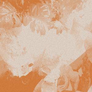 ดาวน์โหลดและฟังเพลง venn av en venn (feat. $AMU) (Explicit) พร้อมเนื้อเพลงจาก Paradis