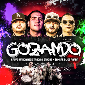 ดาวน์โหลดและฟังเพลง GOZANDO พร้อมเนื้อเพลงจาก Grupo Marca Registrada