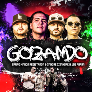Grupo Marca Registrada的專輯GOZANDO