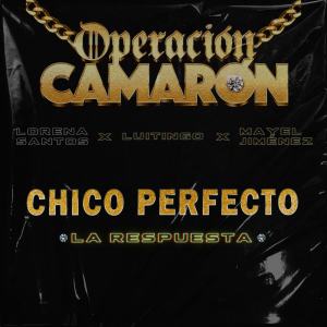 Dengarkan lagu Chico Perfecto (La Respuesta) nyanyian Luitingo dengan lirik