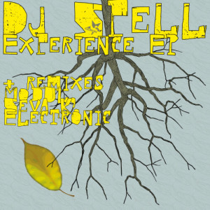 ดาวน์โหลดและฟังเพลง Experience (Original Mix) พร้อมเนื้อเพลงจาก Dj Spell