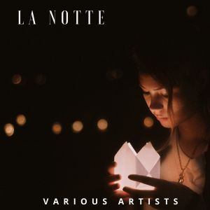 收听pietro martini的video sun歌词歌曲