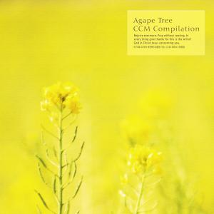 Album CCM Piano Collection To Help You Sleep In Agape Tree oleh Various Artists