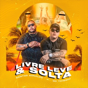 Listen to Livre, Leve e Solta song with lyrics from Cantor Ronaldo