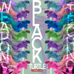 Album Black Turtle Weapons Techno Summer 2020 from Various