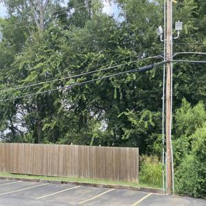 ดาวน์โหลดและฟังเพลง denial (Explicit) พร้อมเนื้อเพลงจาก ovrwrld