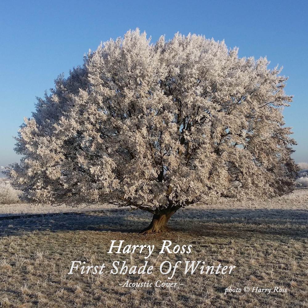 First Shade Of Winter (Acoustic Cover)