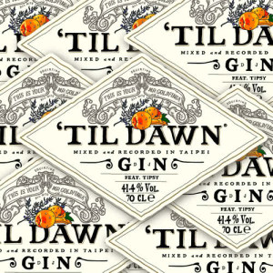 Listen to 'TIL DAWN (feat. TIPSY) song with lyrics from DJ Mr.Gin