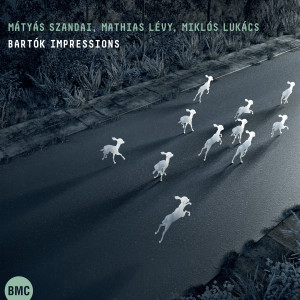 Album Bartók Impressions from Mátyás Szandai