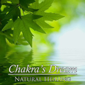 ดาวน์โหลดและฟังเพลง Natural Healing พร้อมเนื้อเพลงจาก Chakra's Dream