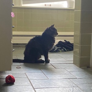 ดาวน์โหลดและฟังเพลง Ride! (Explicit) พร้อมเนื้อเพลงจาก PeaXIII