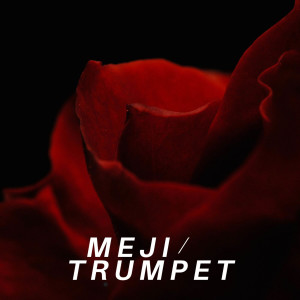 DJ SIDUK的專輯Meji /Trumpet