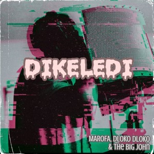 Album Dikeledi from Dlokodloko
