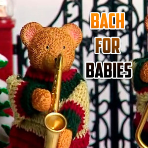 Orquesta Club Miranda的专辑Bach for Babies