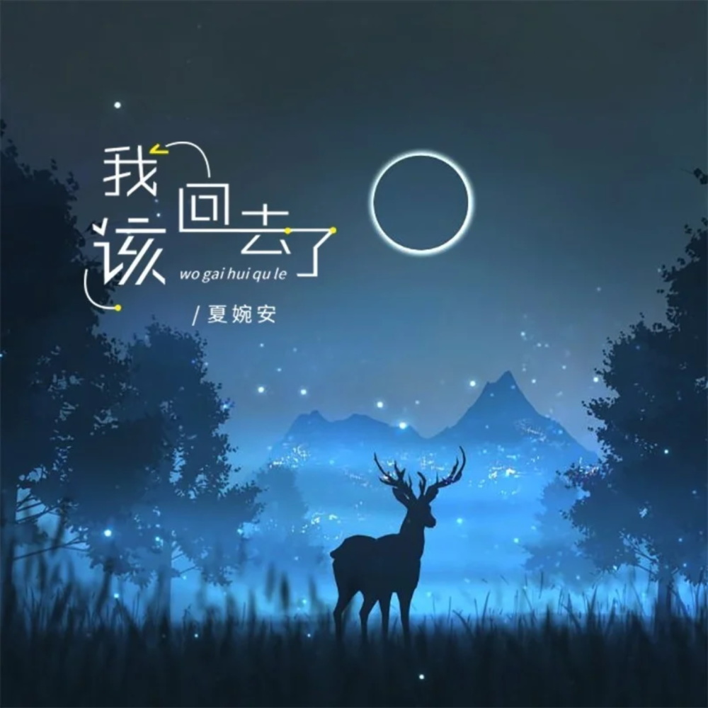 我该回去了 (伴奏)