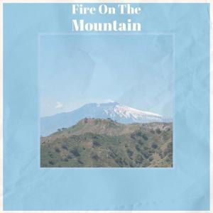 Album Fire On The Mountain oleh Silvia Natiello-Spiller