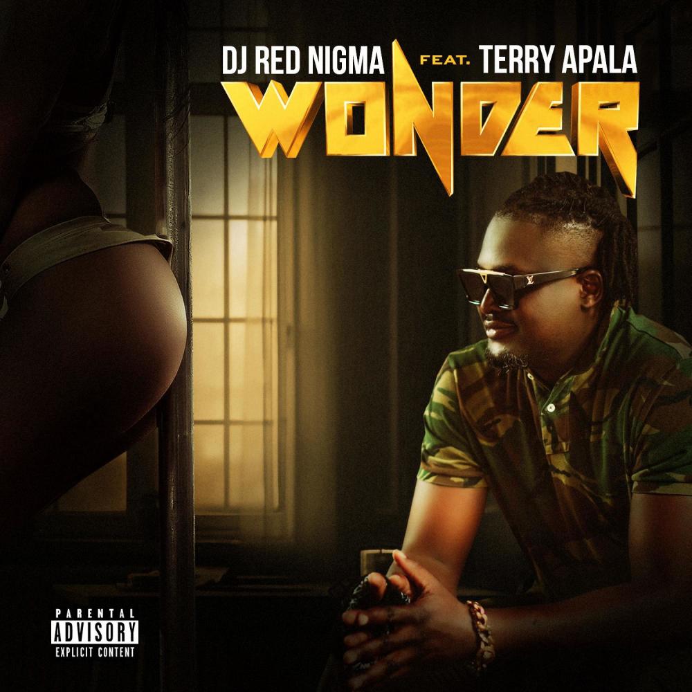 Wonder (feat. Terry Apala) (Explicit)