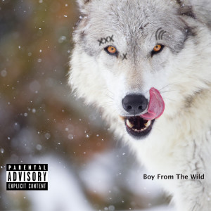 Listen to Boy from the Wild (Explicit) song with lyrics from Lil Young Big