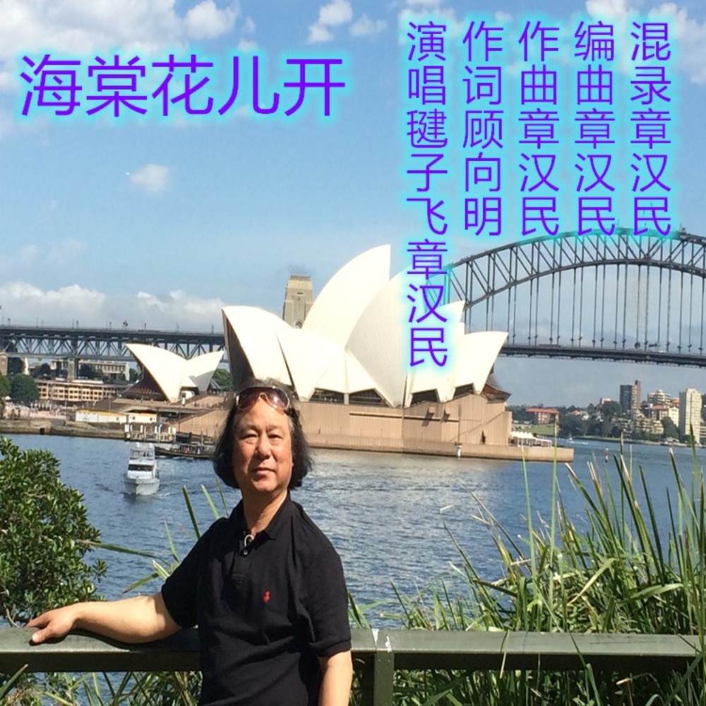 海棠花开 (伴奏)