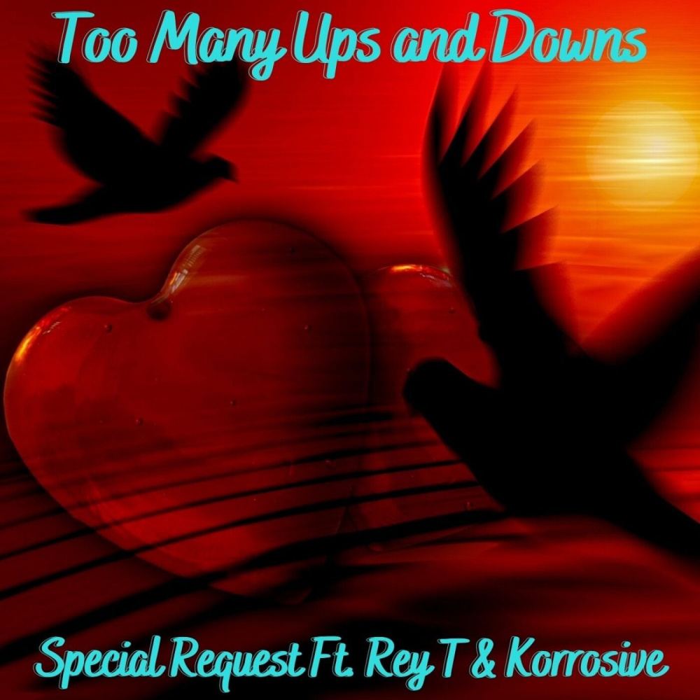 Too Many Ups and Downs (Explicit)