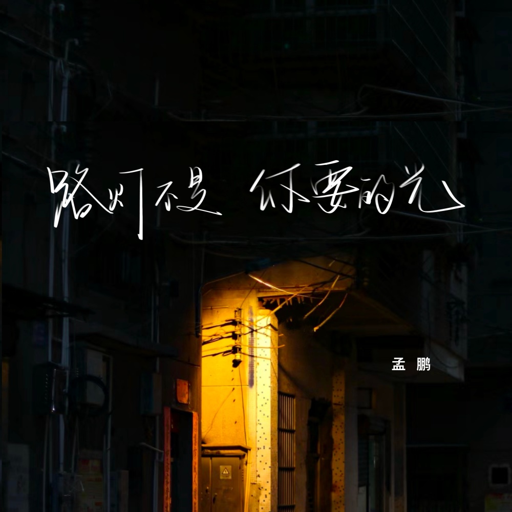 路灯不是你要的光