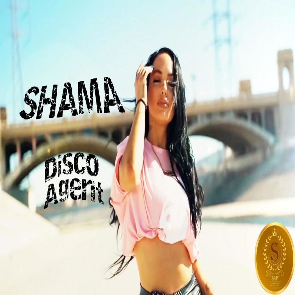 Disco Agent