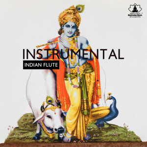 Instrumental Indian Flute (Spiritual Hindu Meditation Music) dari Mindfulness Meditation Music Spa Maestro
