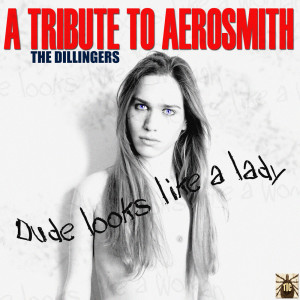ดาวน์โหลดและฟังเพลง I Don’t Want to Miss a Thing พร้อมเนื้อเพลงจาก The Dillingers