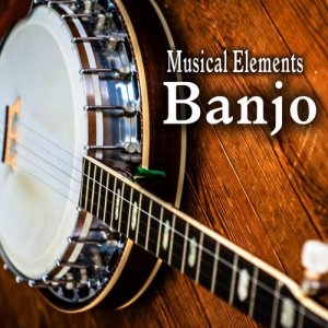 ดาวน์โหลดและฟังเพลง Last Post Intro Banjo Phrase พร้อมเนื้อเพลงจาก Sound Ideas