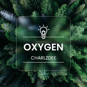 Album Oxygen from Charlzdee