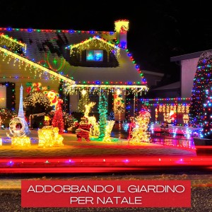 Album Addobbando Il Giardino Per Natale oleh Various  Artists