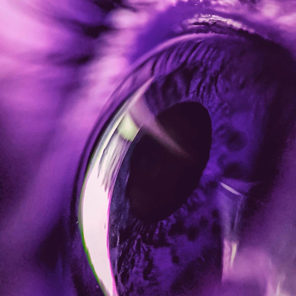 Look at Me Now (Explicit)