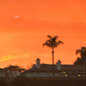Album KIBOU (feat. 18scott) from BANNY BUGS