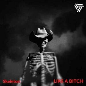 Album Like A Bitch (Explicit) from Skeleton