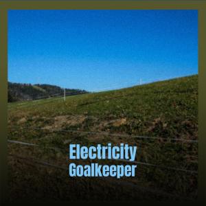 收听Albena Newo的Electricity Goalkeeper歌词歌曲