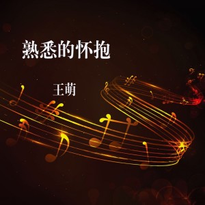 Listen to 心已碎 song with lyrics from 王萌