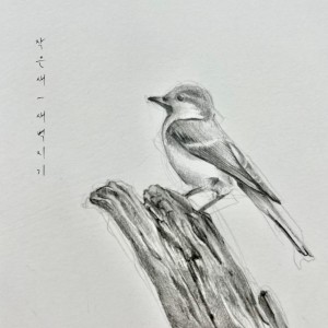 收聽새벽지기的작은 새歌詞歌曲