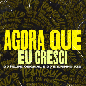 Album Agora Que Eu Cresci (Explicit) oleh Dj Bruninho Pzs