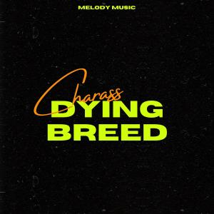 收聽Charass的Dying Breed歌詞歌曲