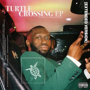 收听Potebaby的Turtle Crossing (Explicit)歌词歌曲