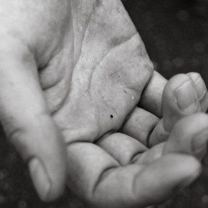 收听ZIN的Distortion歌词歌曲