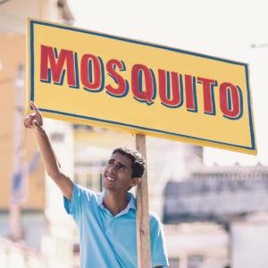 อัลบัม Ô Sorte ศิลปิน Mosquito