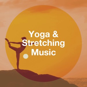 Album Yoga & Stretching Music from Various