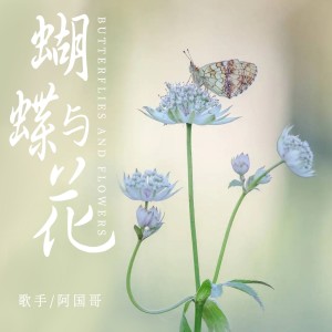 收聽阿國哥的蝴蝶與花歌詞歌曲