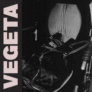 Tarrzankota的专辑Vegeta (Explicit)