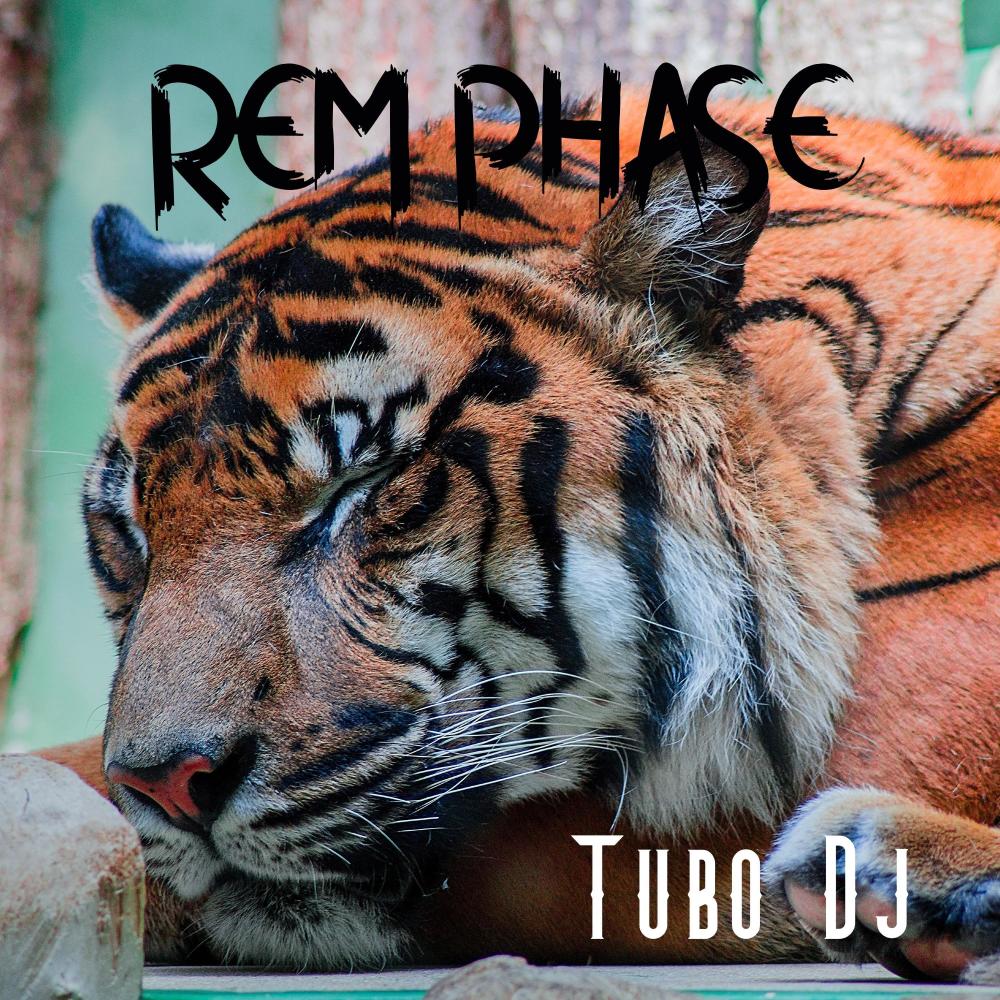 REM PHASE