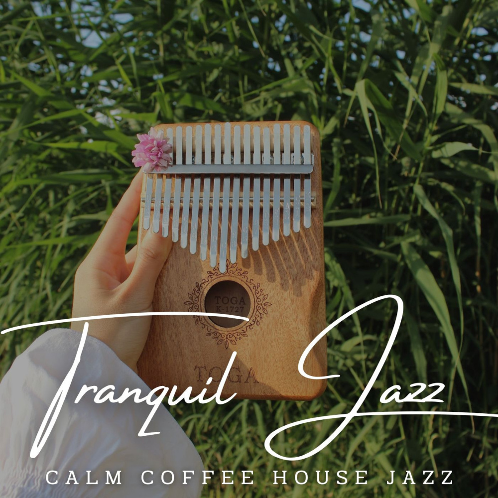 Cozy Jazz Fireside Moments
