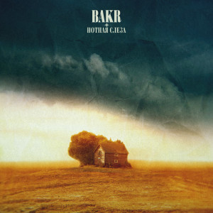 Listen to Нотная слеза song with lyrics from Bakr