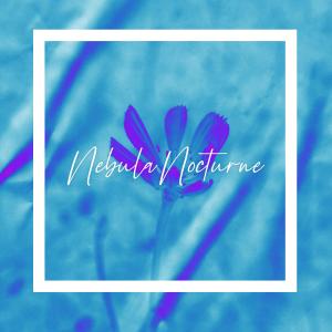 Dengarkan lagu Nebula Nocturne nyanyian Ferreck Stnd dengan lirik