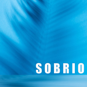 收聽Somos del Barrio的Sobrio歌詞歌曲